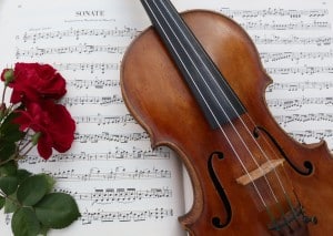 violin and rose on music