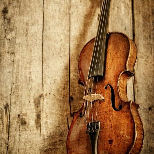 Stylish Violin